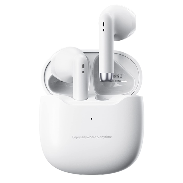 Earbuds