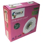 Charze 12wt COB Light