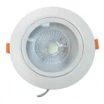 Charze 12wt COB Light