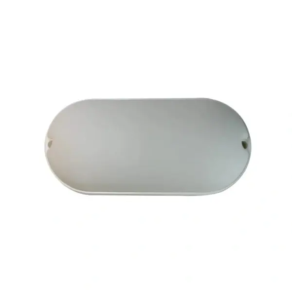 Charze 20w Bulkhead Light