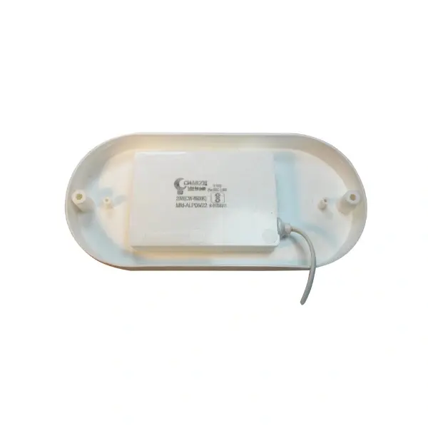 Charze 20w Bulkhead Light