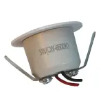 Charze 3wt Makhi Light