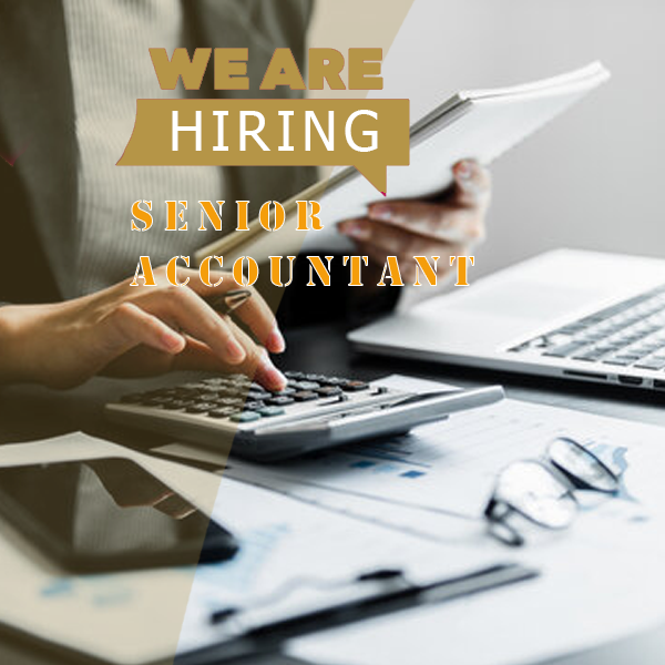 Accountant / Senior Accountant