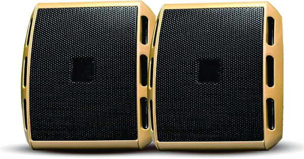 Multimedia Speakers with Foam Edge | 6W Output Power | AUX/USB Connectivity | for Laptop, PC, Mobile | Volume Control (SPK-0010, Black/Gold)