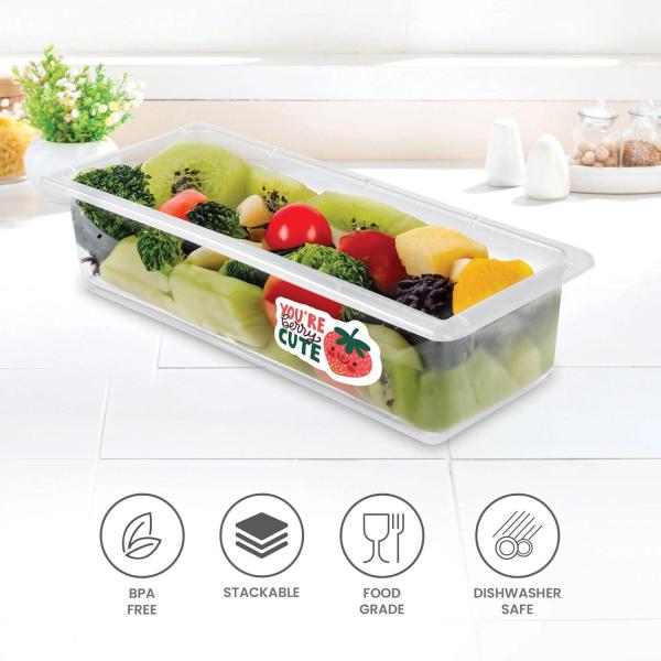 MILTON-Cryo Fridge Storage Boxes Set of 6 Fridge Organizer Container with Waterproof Vinyl Stickers & Removable Drain Plate, Lid, Stackable Box, Plastic Containers 1500 ml, Transparent