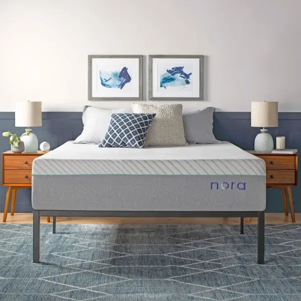 Wayfair-Nora 13&quot; Ultra Plush Gel Memory Foam Mattress with Icy Cool Cover