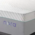 Wayfair-Nora 13" Ultra Plush Gel Memory Foam Mattress with Icy Cool Cover