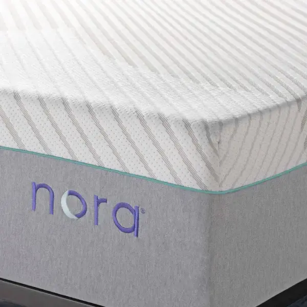 Wayfair-Nora 13" Ultra Plush Gel Memory Foam Mattress with Icy Cool Cover