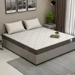 WoodenStreet-Penguin Ortho-Memory Foam Mattress