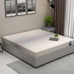 WoodenStreet-Penguin DreamLux High Density HR Foam Mattress