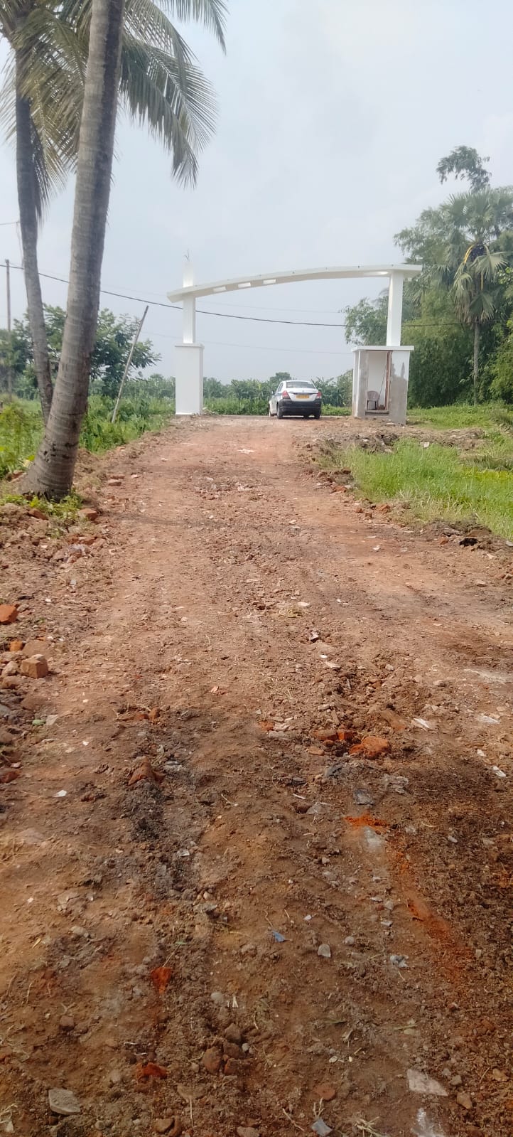 Residential Plot With All Amenities - Image 3