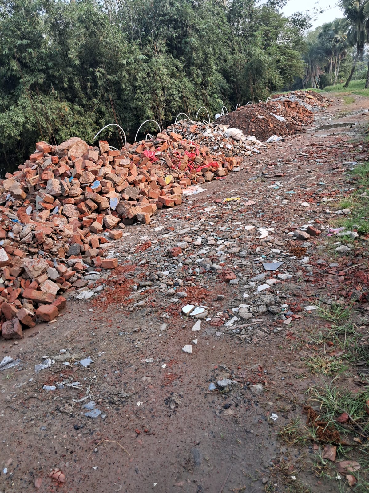 Residential Plot With All Amenities - Image 11