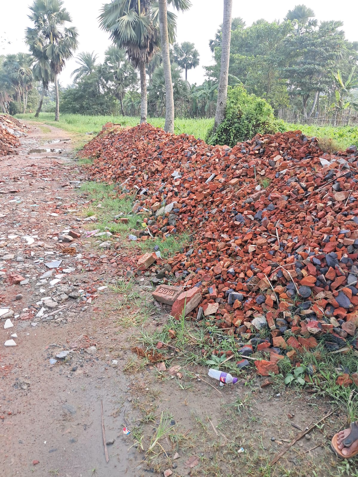 Residential Plot With All Amenities - Image 12